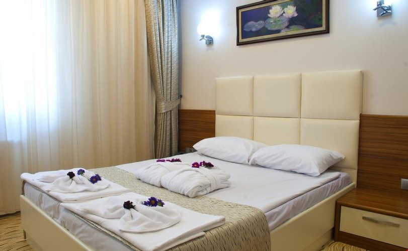 Standard Room, Mountain View