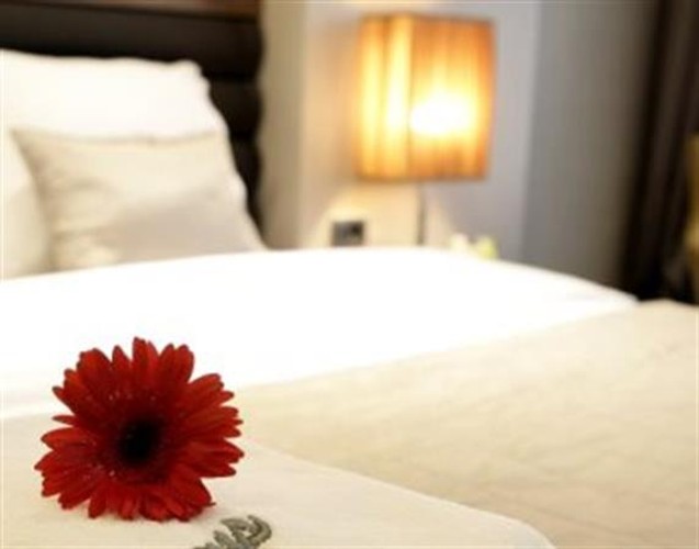 Suit Tek Kişilik Oda (1 Kişilik)