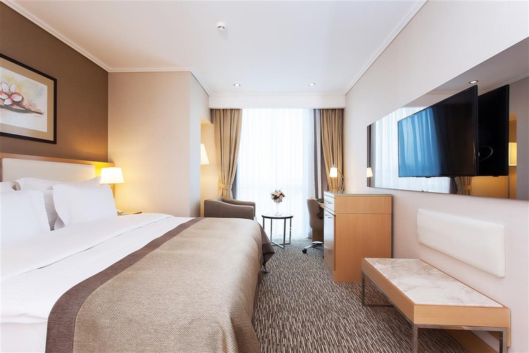 Apart Daire, Şehir Manzaralı (Mutfaklı)