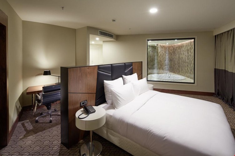 Executive Suite Room