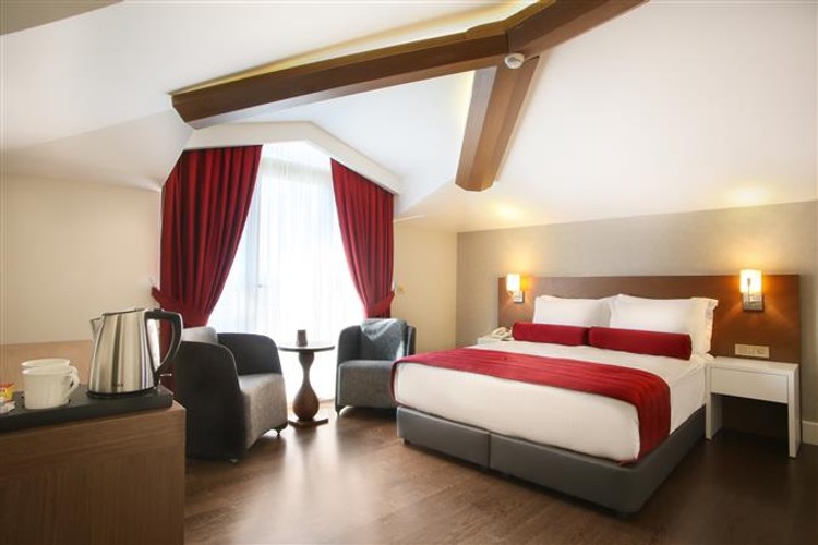 Superior Terrace Room (Terrace)