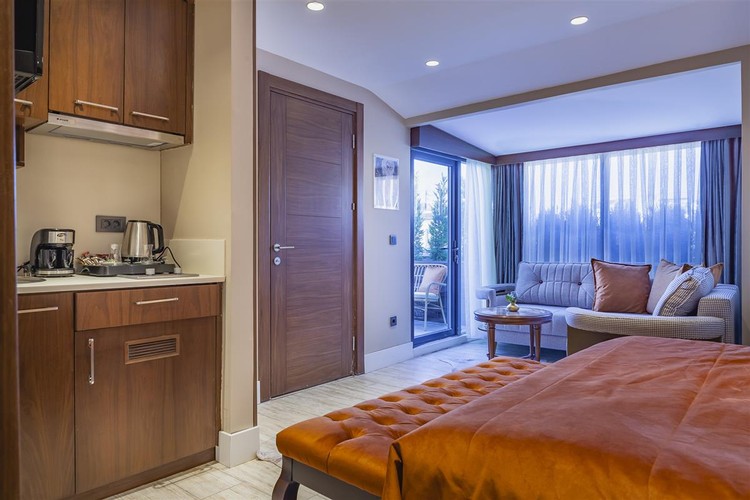 Superior Suite Terrace Room (Terrace)