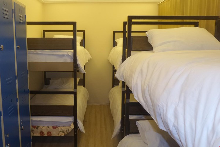 Bunkbed Room - Mixed Dorm - Mixed Shared