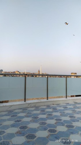 Terrace Room (Terrace)