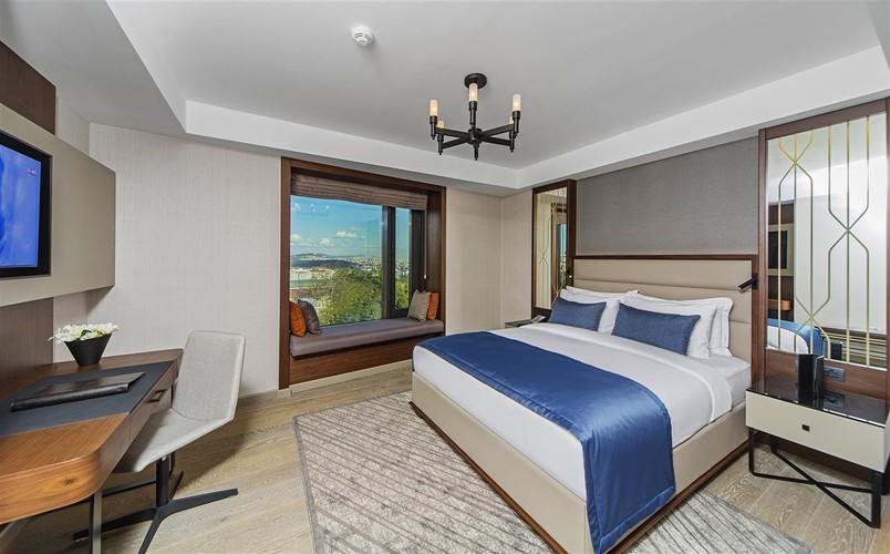 Standard Room (1 Person)