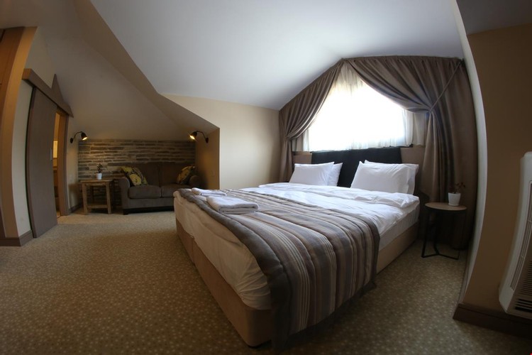 Deluxe Roof Penthouse Room