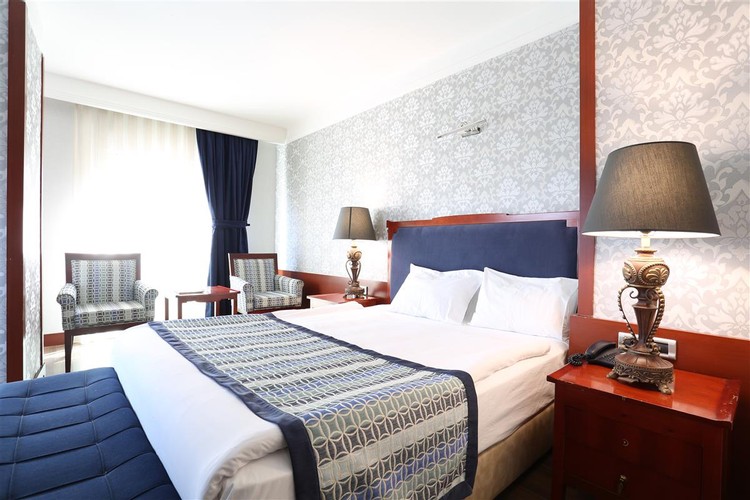 Deluxe Business Room