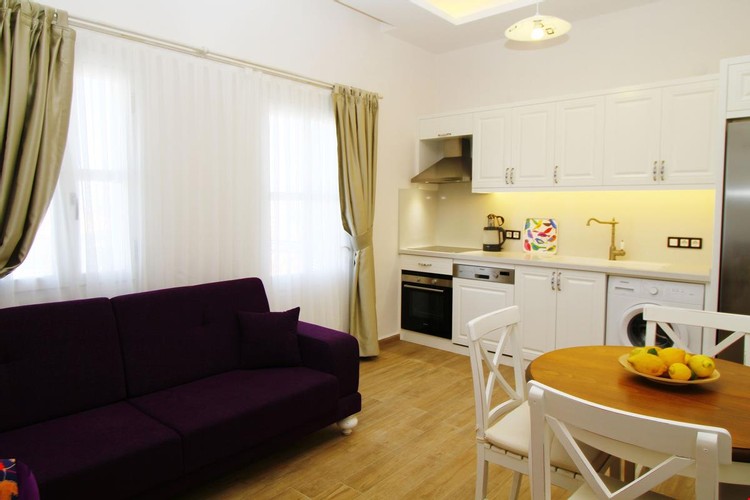 1+1 Apartment, Sea View (Balcony)