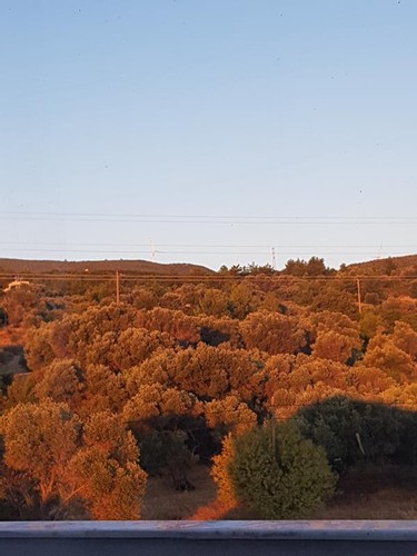 Panaromik Oda, Deniz Manzaralı