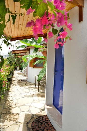 Deluxe Bungalow Room