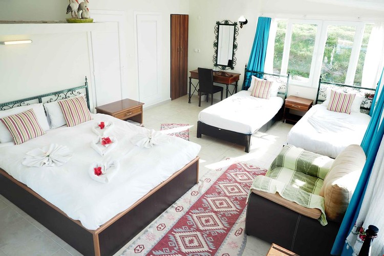 Family Room, Castle View