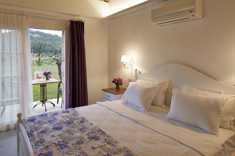 Executive Suit Oda, Bahçe Manzaralı