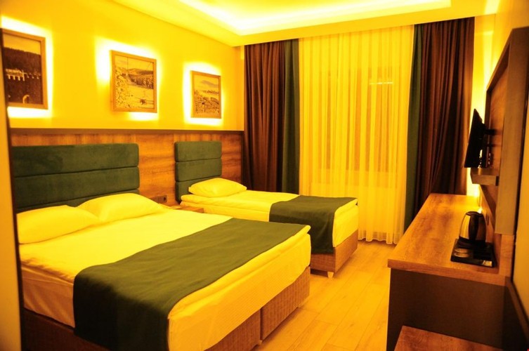 Standard Room, Mountain View