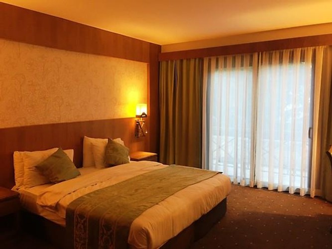 Standard Room, Mountain View