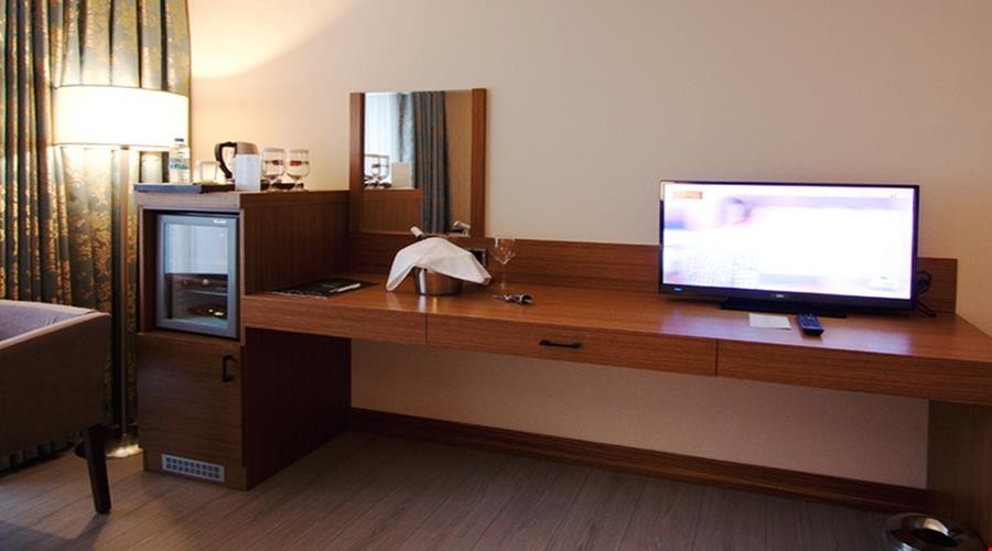 Standard Room (1 Person)