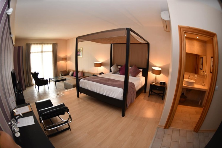 Deluxe Room (1 Person)