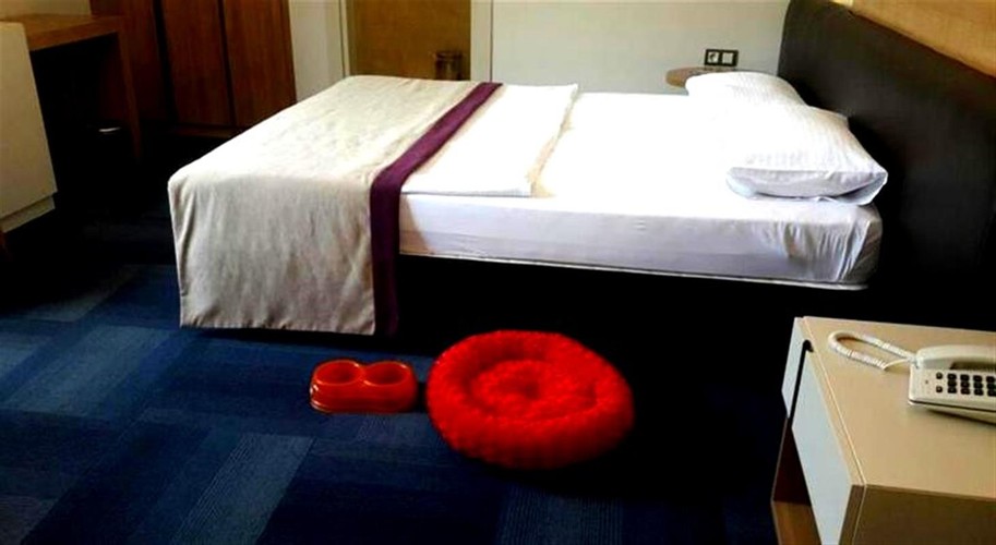 Iki Ayrı Yataklı Oda