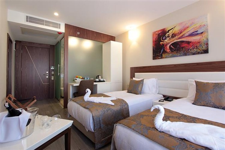 Standard Room (1 Person)