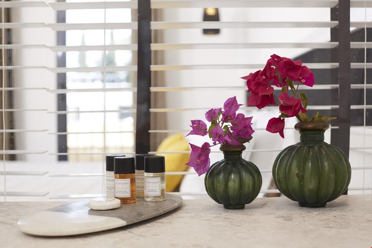 Deluxe Room, Garden View