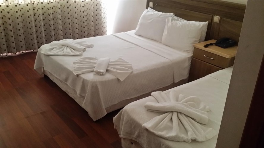 Standart Oda, Dağ Manzaralı (3 Kişilik)