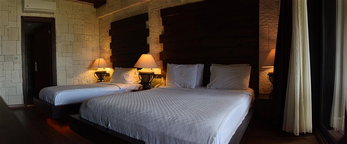 Deluxe Room (Terrace)