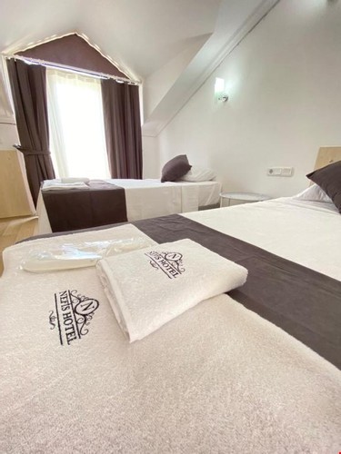 Roof Single Penthouse Room (1 Person)