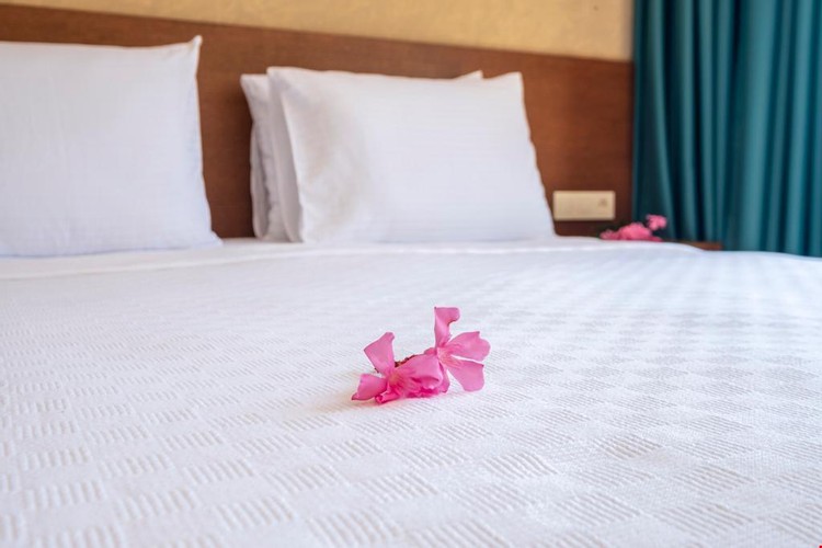 Standard Room, Pool View