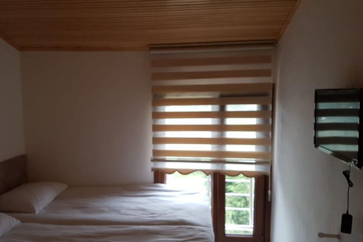 Family Room (Terrace)