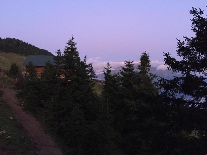 Standart Oda, Dağ Manzaralı