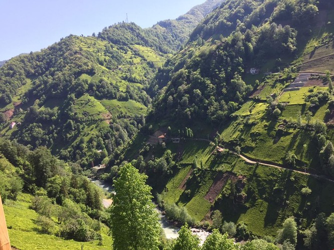 Family Suite Room (Balcony)
