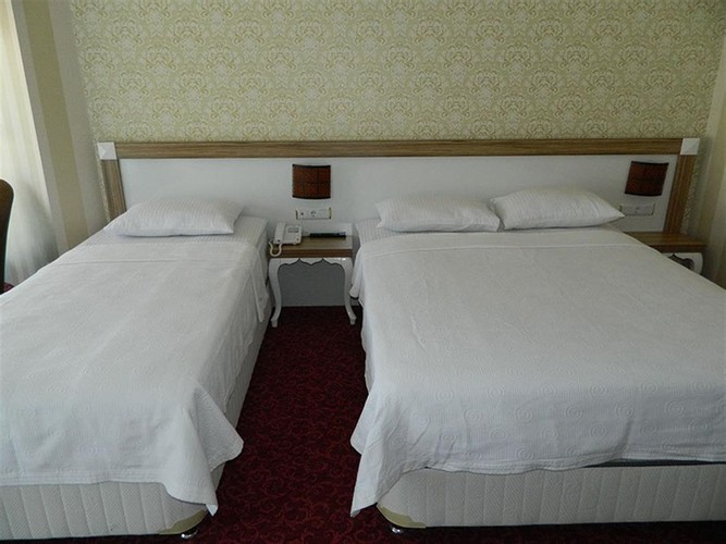 Standard Room (1 Person)