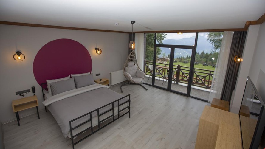 Standard Room, Mountain View