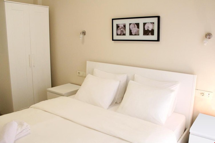 Standard Room, Mountain View