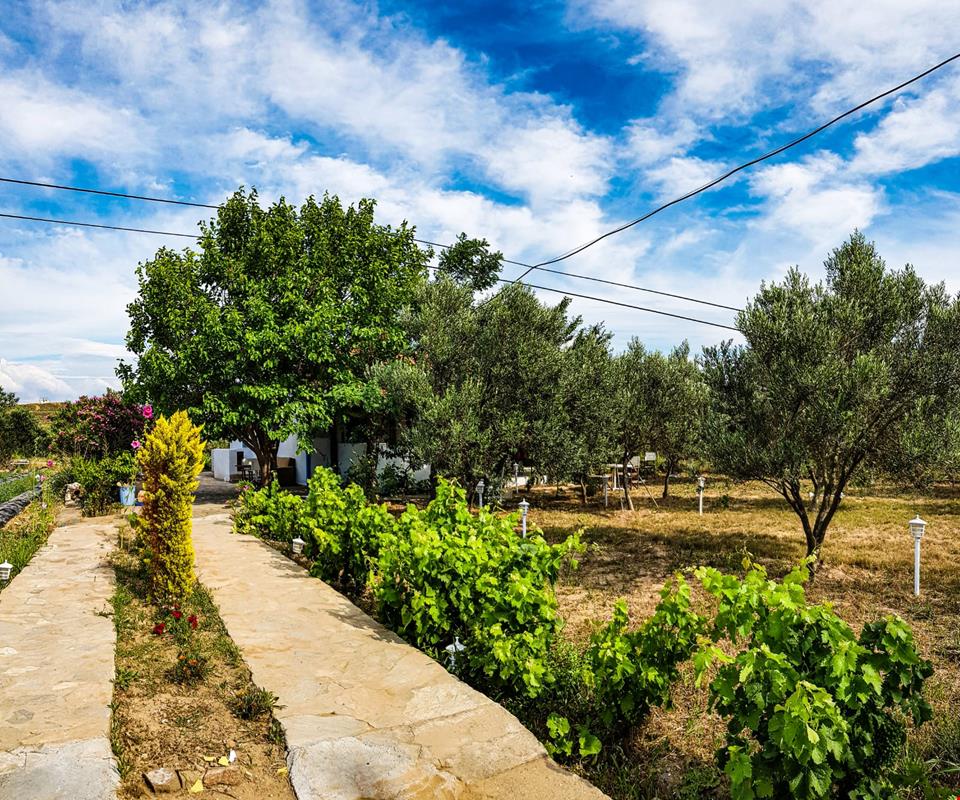 tenedos bag evi canakkale rezervasyon otelz com tenedos bag evi canakkale rezervasyon otelz com