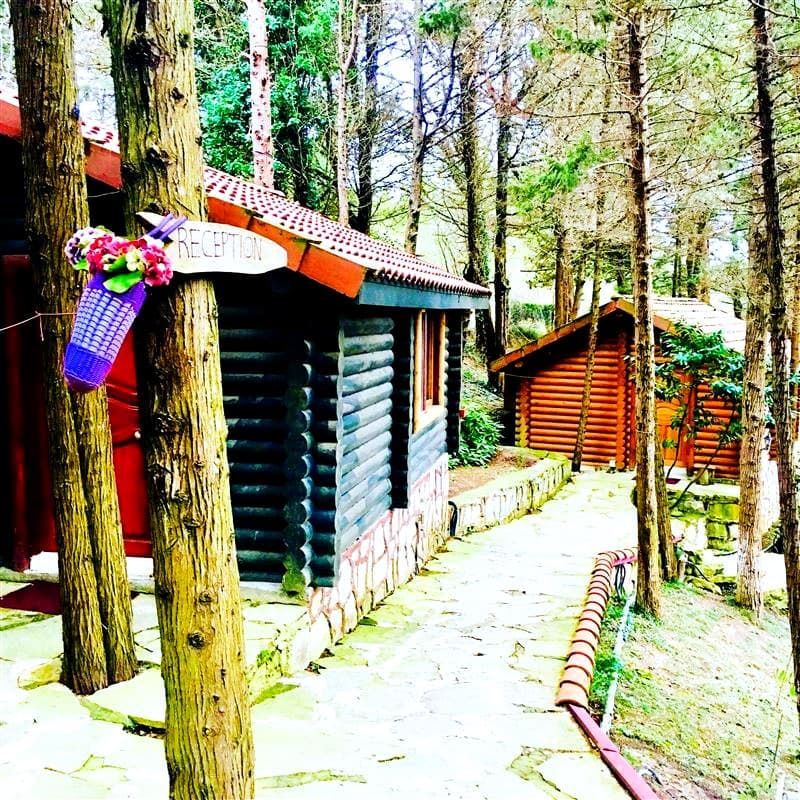 agva orman evleri forest lodge istanbul rezervasyon otelz com