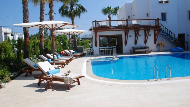 Expres Cevre Profosyonel Hasere Bocek Ve Zararli Ilaclama Mugla Bodrum 0252 358 71 47