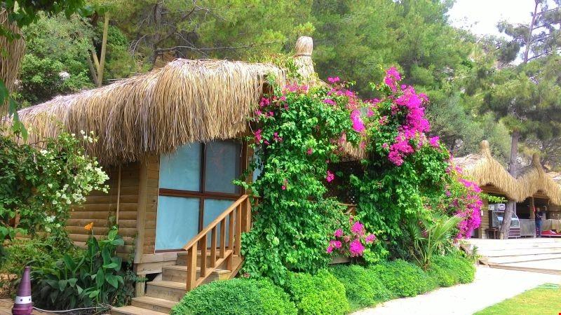 azras bungalow houses mugla rezervasyon otelz com