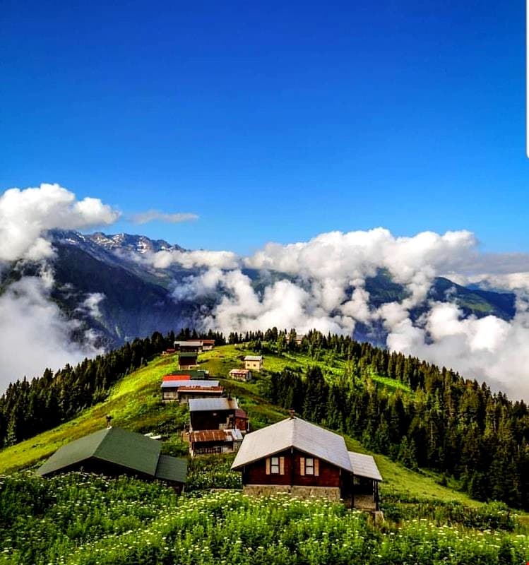 pokut inn doga evi rize updated prices book in 30 seconds